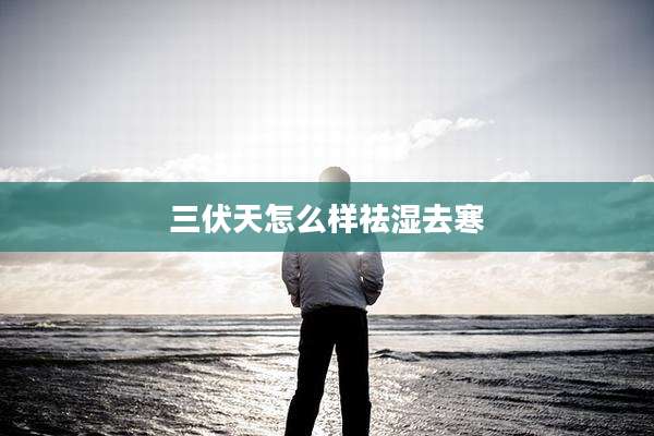 三伏天怎么样祛湿去寒