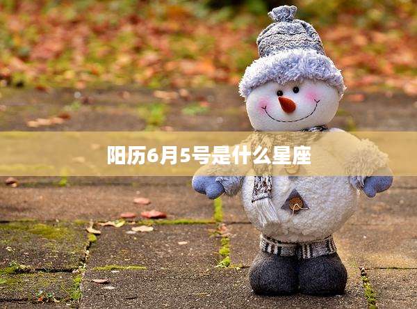 阳历6月5号是什么星座