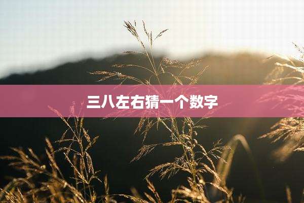 三八左右猜一个数字