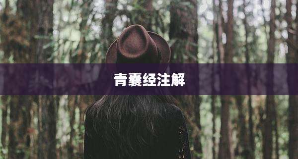 青囊经注解