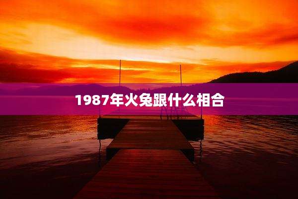 1987年火兔跟什么相合