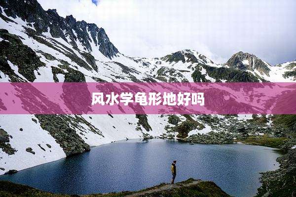 风水学龟形地好吗