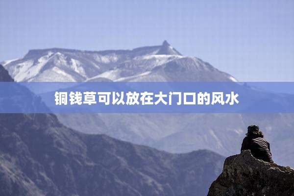 铜钱草可以放在大门口的风水