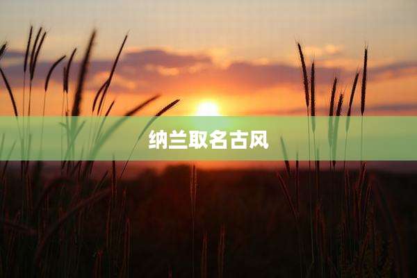 纳兰取名古风