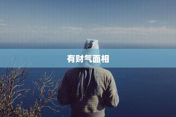 有财气面相