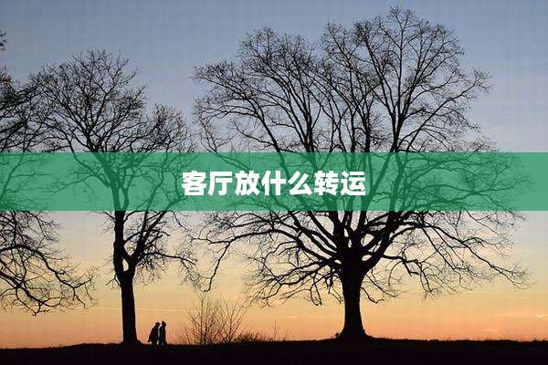 客厅放什么转运