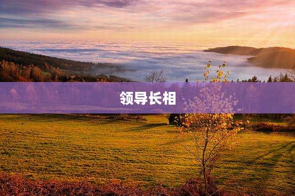 领导长相