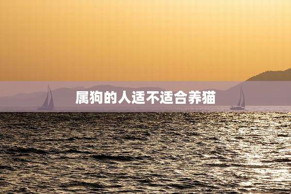 属狗的人适不适合养猫