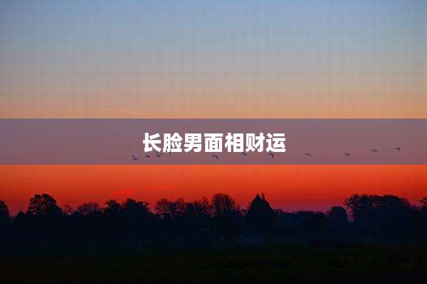 长脸男面相财运