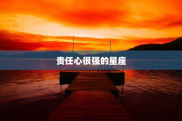 责任心很强的星座