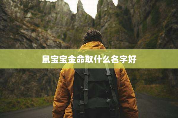 鼠宝宝金命取什么名字好