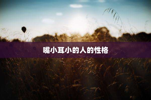嘴小耳小的人的性格