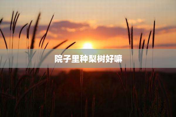 院子里种梨树好嘛