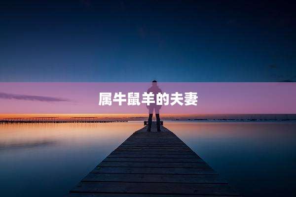 属牛鼠羊的夫妻