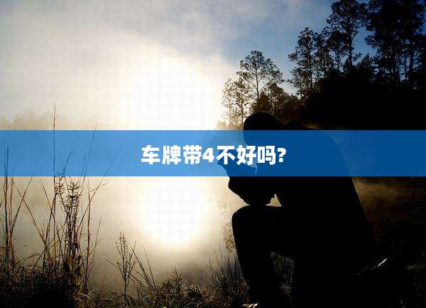 车牌带4不好吗?