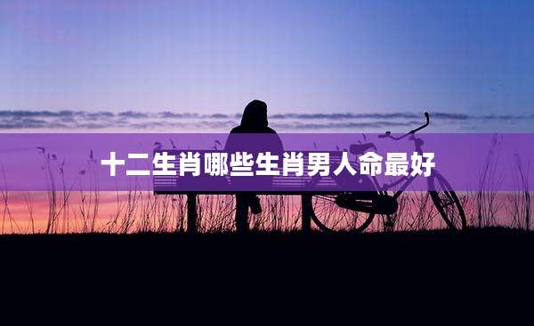 十二生肖哪些生肖男人命最好