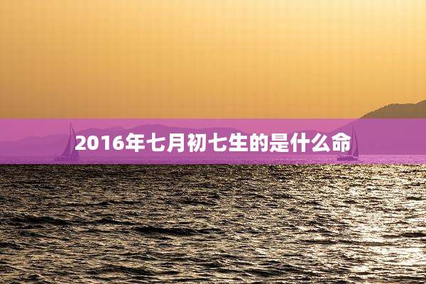 2016年七月初七生的是什么命
