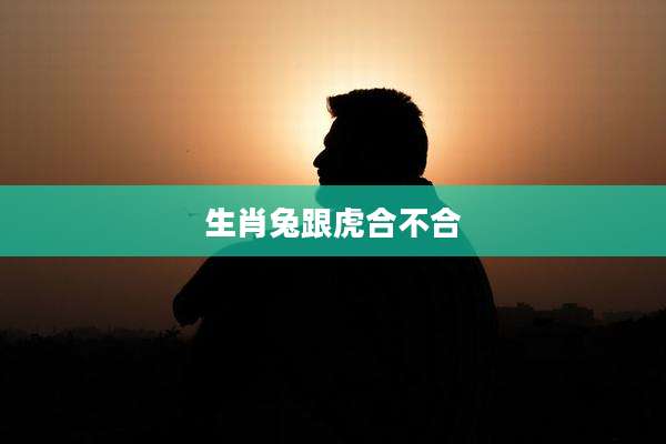 生肖兔跟虎合不合