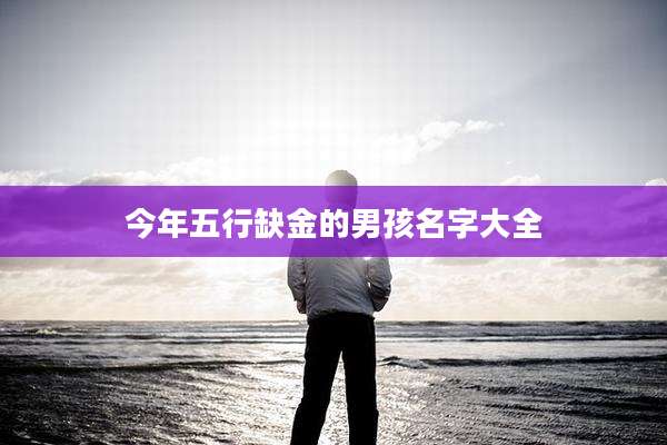 今年五行缺金的男孩名字大全