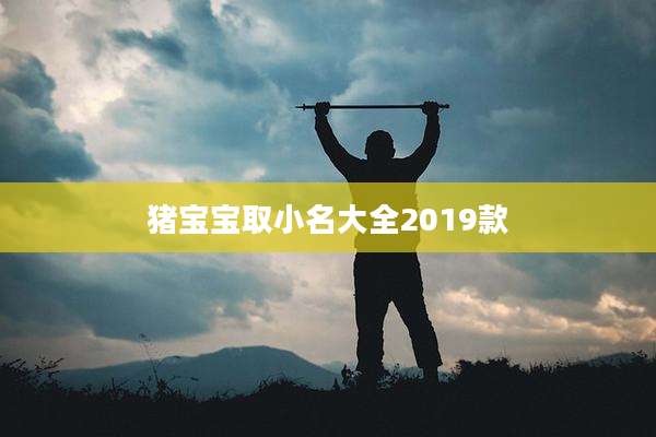 猪宝宝取小名大全2019款