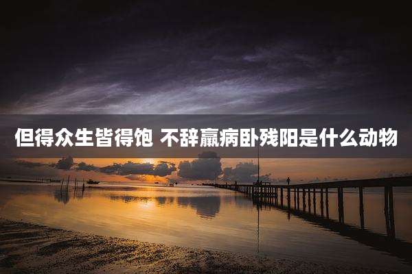 但得众生皆得饱 不辞羸病卧残阳是什么动物