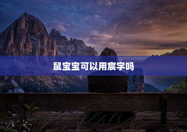 鼠宝宝可以用宸字吗