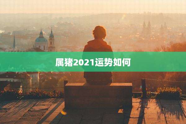 属猪2021运势如何