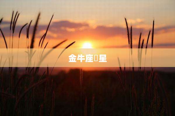金牛座眀星
