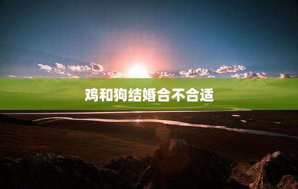 鸡和狗结婚合不合适
