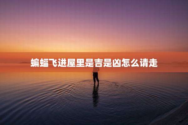蝙蝠飞进屋里是吉是凶怎么请走
