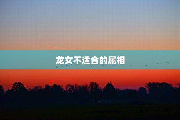 龙女不适合的属相