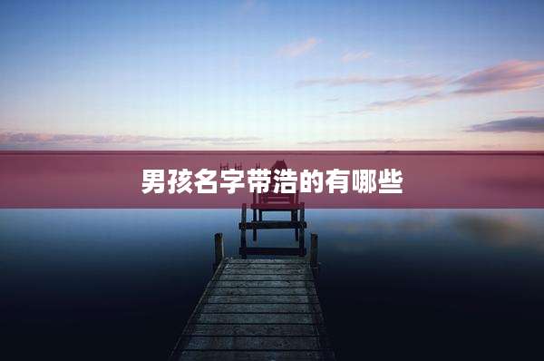 男孩名字带浩的有哪些