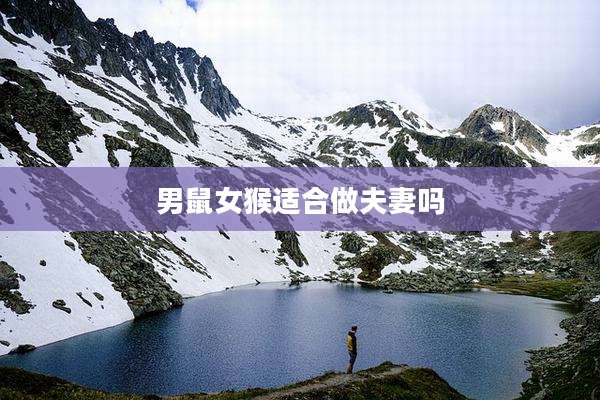 男鼠女猴适合做夫妻吗