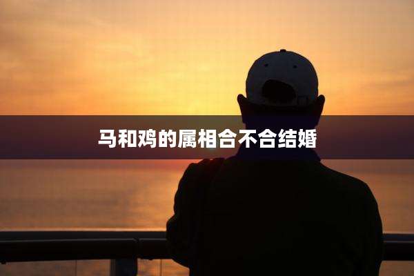 马和鸡的属相合不合结婚
