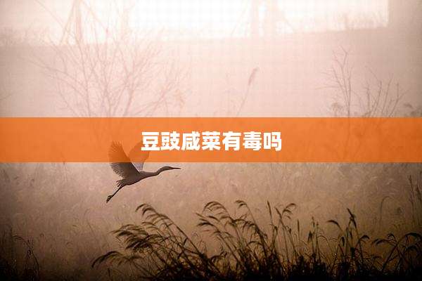 豆豉咸菜有毒吗