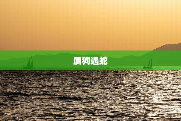 属狗遇蛇
