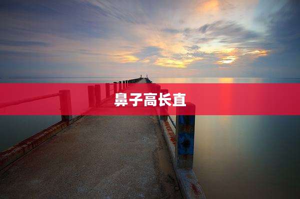 鼻子高长直