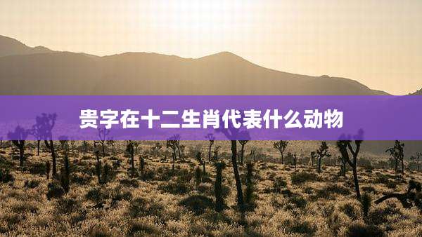 贵字在十二生肖代表什么动物