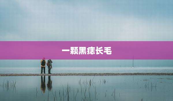 一颗黑痣长毛