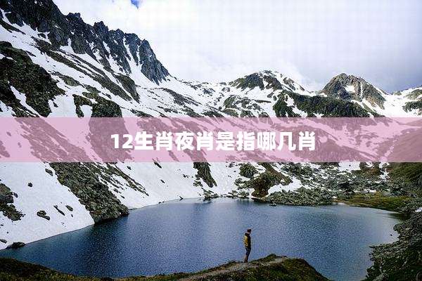 12生肖夜肖是指哪几肖