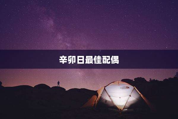 辛卯日最佳配偶