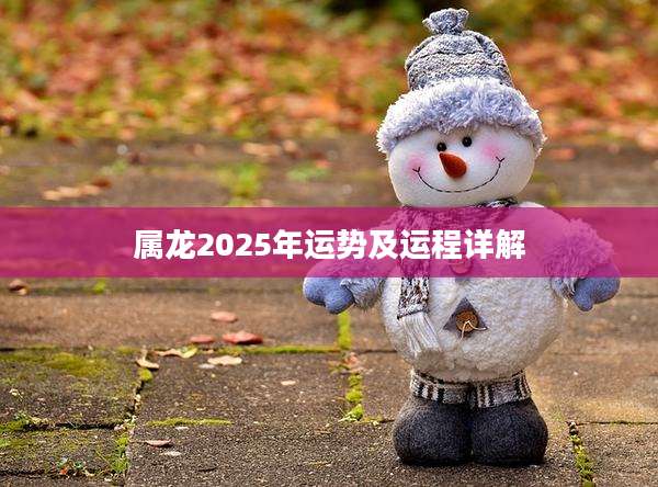 属龙2025年运势及运程详解