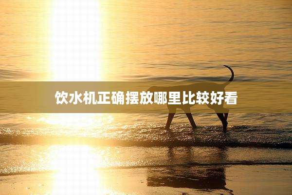 饮水机正确摆放哪里比较好看