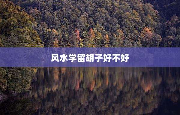 风水学留胡子好不好