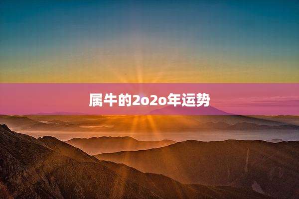 属牛的2o2o年运势