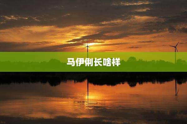 马伊俐长啥样