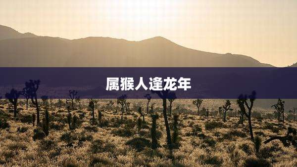 属猴人逢龙年