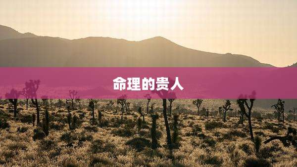 命理的贵人