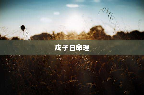 戊子日命理