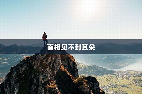 面相见不到耳朵